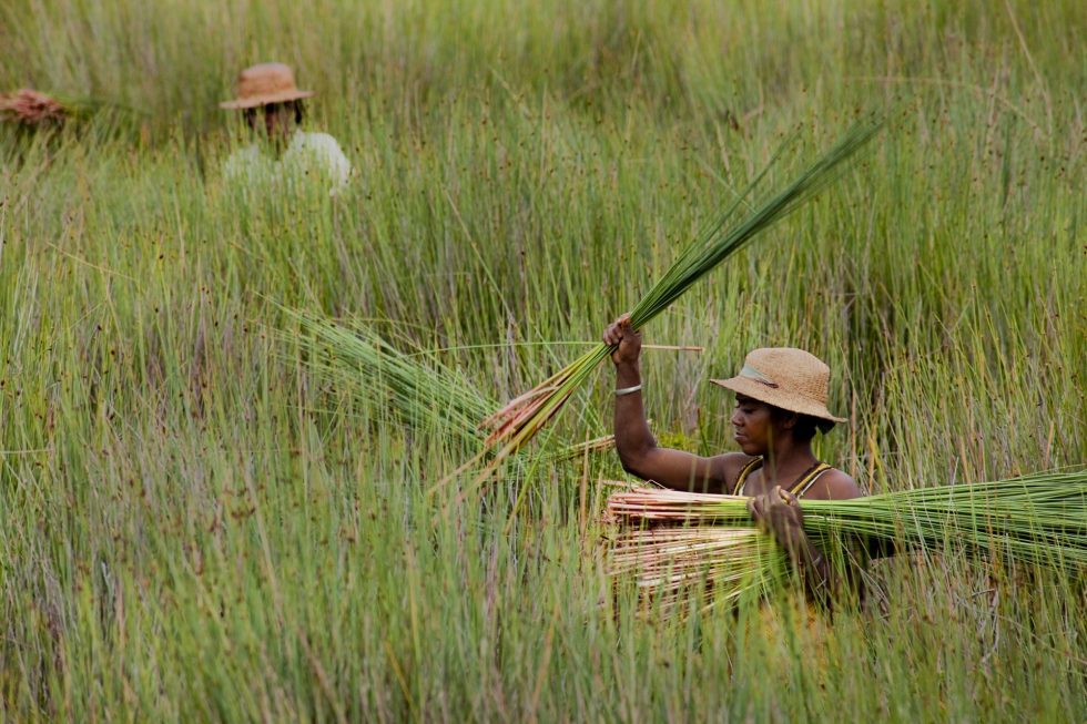 madagascar