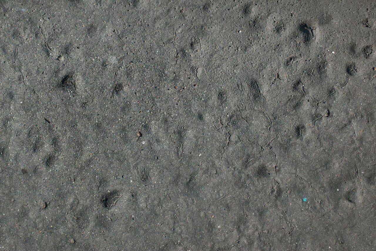 Antropocene Antropocene
